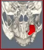 Predictable and Successful Maxillary Sinus Augmentation - Sugai