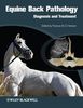 Equine Back Pathology: Diagnosis and Treatment - Dr Frances Henson