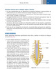 Atlas de Prácticas Neonatal y Procedimientos Pediátricos -  Jain/ Pant/ Sood