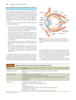 TNM Atlas de Estadificación con Oncoanatomía - Rubin / Hansen