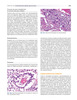 Manual de Oncología Médica MD Anderson 2Vols. – Kantarjian / Wolff / Koller