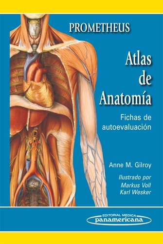 PROMETHEUS ATLAS DE ANATOMIA FICHAS DE AUTOEVALUACION - Gilroy