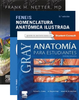 PACK GRAY ANATOMIA PARA ESTUDIANTES + FENEIS NOMENCLATURA ANATOMICA ILUSTRADA + NETTER ATLAS DE ANATOMIA HUMANA