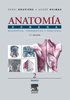 ANATOMIA HUMANA DESCRIPTIVA, TOPOGRAFICA Y FUNCIONAL. TOMO 2 TRONCO - Henri Rouviere