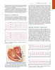 PROCEDIMIENTOS CLINICOS EN MEDICINA DE EMERGENCIA 2 VOLS - Roberts / Custalow / Thomsen / Hedges