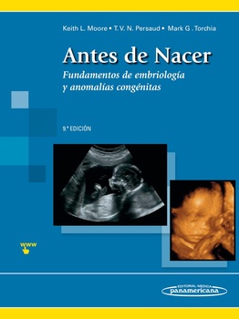 embriologia clinica moore 8 edicion pdf  8