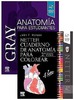 PACK GRAY ANATOMIA PARA ESTUDIANTES + NETTER CUADERNO DE ANATOMIA PARA COLOREAR