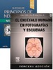 PACK PRINCIPIOS DE NEUROCIENCIA APLICACIONES BASICAS Y CLINICAS + EL ENCEFALO HUMANO EN FOTOGRAFIAS Y ESQUEMAS