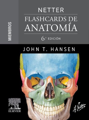 Netter. Flashcards de anatomía. Miembros -Hansen 6ED. 