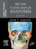 Netter. Flashcards de anatomía. Tronco y órganos internos -Hansen. 6ED