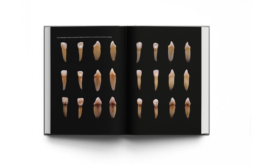 El Arte de Hacer Dientes