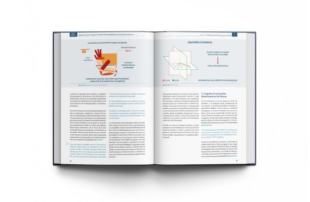 RNO & ATM Rehabilitación Neuro-Oclusal y Articulación Temporo-Mandibular: Hacia el Equilibrio Morfofuncional