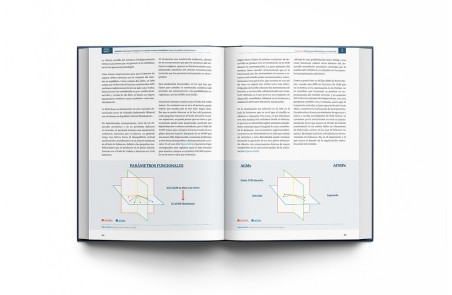 RNO & ATM Rehabilitación Neuro-Oclusal y Articulación Temporo-Mandibular: Hacia el Equilibrio Morfofuncional