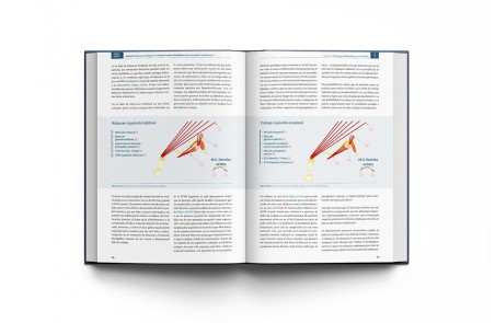 RNO & ATM Rehabilitación Neuro-Oclusal y Articulación Temporo-Mandibular: Hacia el Equilibrio Morfofuncional