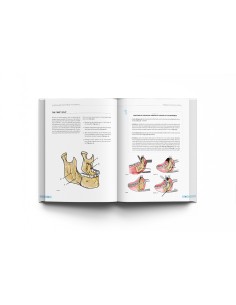 Orthognathic Surgery. Techniques, tips & tricks. 2