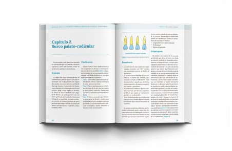 ENDODONCIA. Alteraciones morfológicas congénitas y adquiridas que la complican