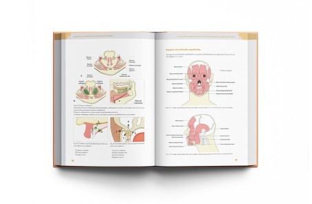 Diagnóstico y Tratamiento de la Infección Odontógena