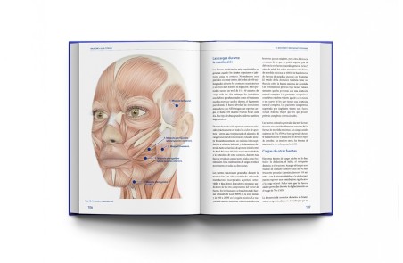 Bruxismo: Guía Clínica