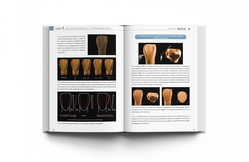 La Guía Definitiva para la Morfología Dental....