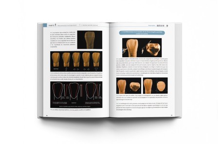 La Guía Definitiva para la Morfología Dental. Morfología de los Dientes Naturales 1
